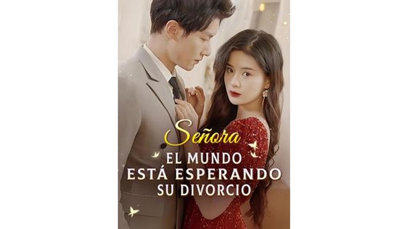 Señora, El Mundo Está Esperando Su Divorcio (Sub Español)